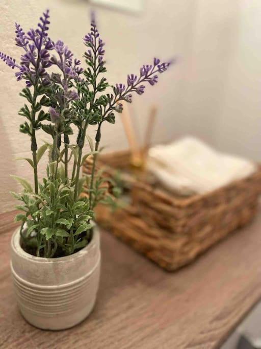 Zentrale Wohnung Gmunden Alte Baeckerei מראה חיצוני תמונה