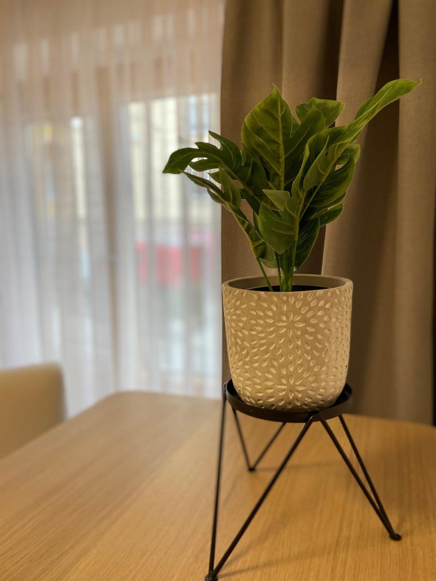 Zentrale Wohnung Gmunden Alte Baeckerei מראה חיצוני תמונה